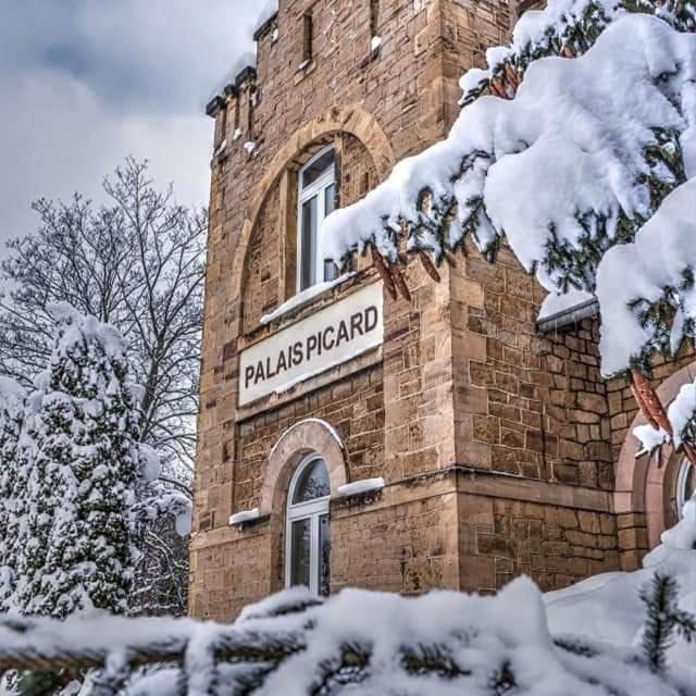 ターレ Palais Picard Westfluegelヴィラ エクステリア 写真